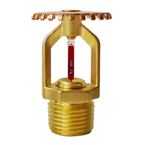 1674837147902204.jpg eh004.jpg